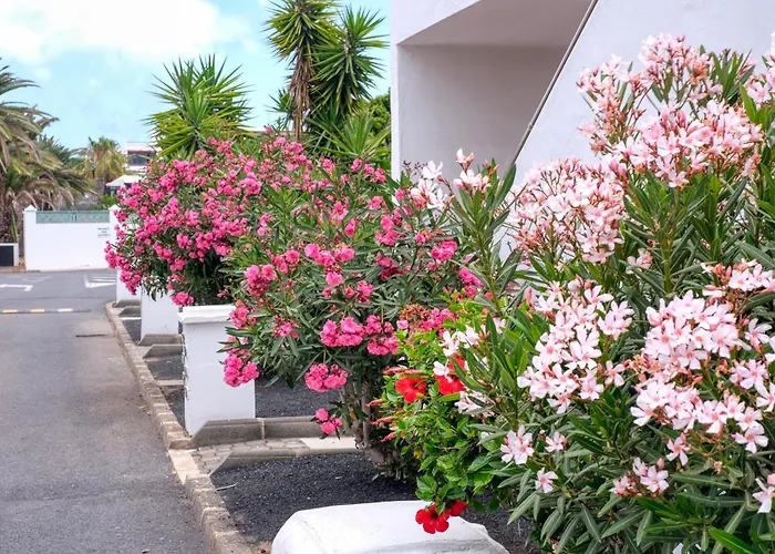 Holiday home Casa La Arena - Pool View By Lanzarote
