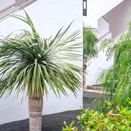 Casa La Arena - Pool View By Lanzarote * 科斯塔特吉塞