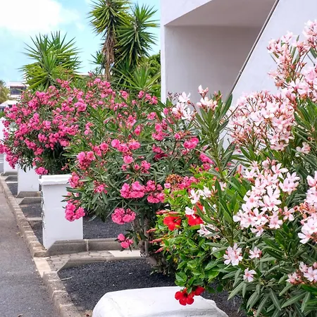 度假居 Casa La Arena - Pool View By Lanzarote